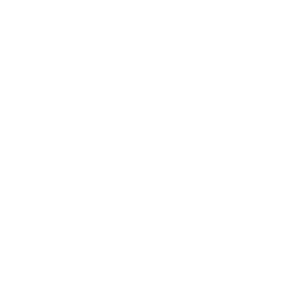 emergency plumber